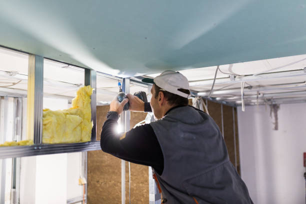 Best Insulation for Specific Applications in Paia, HI